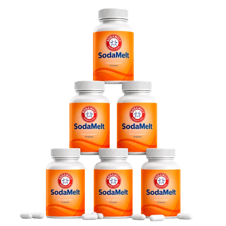 SodaMelt six bottle package